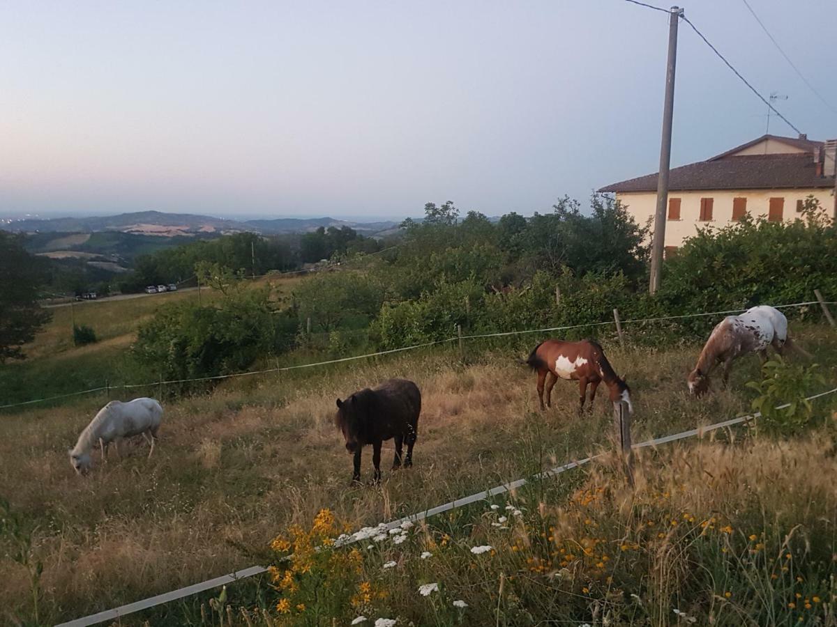 Вилла Agriturismo Piccola Raieda Сассо-Маркони Экстерьер фото