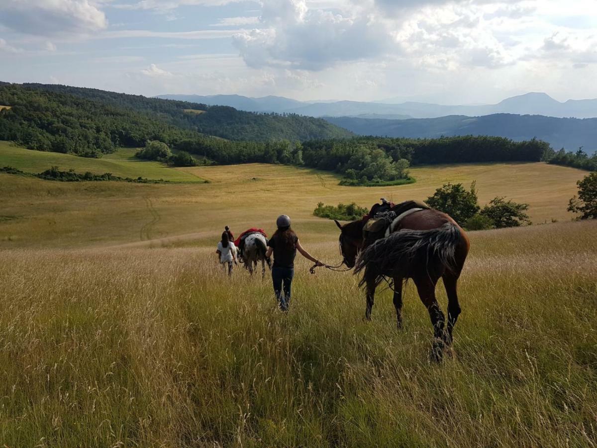 Вилла Agriturismo Piccola Raieda Сассо-Маркони Экстерьер фото