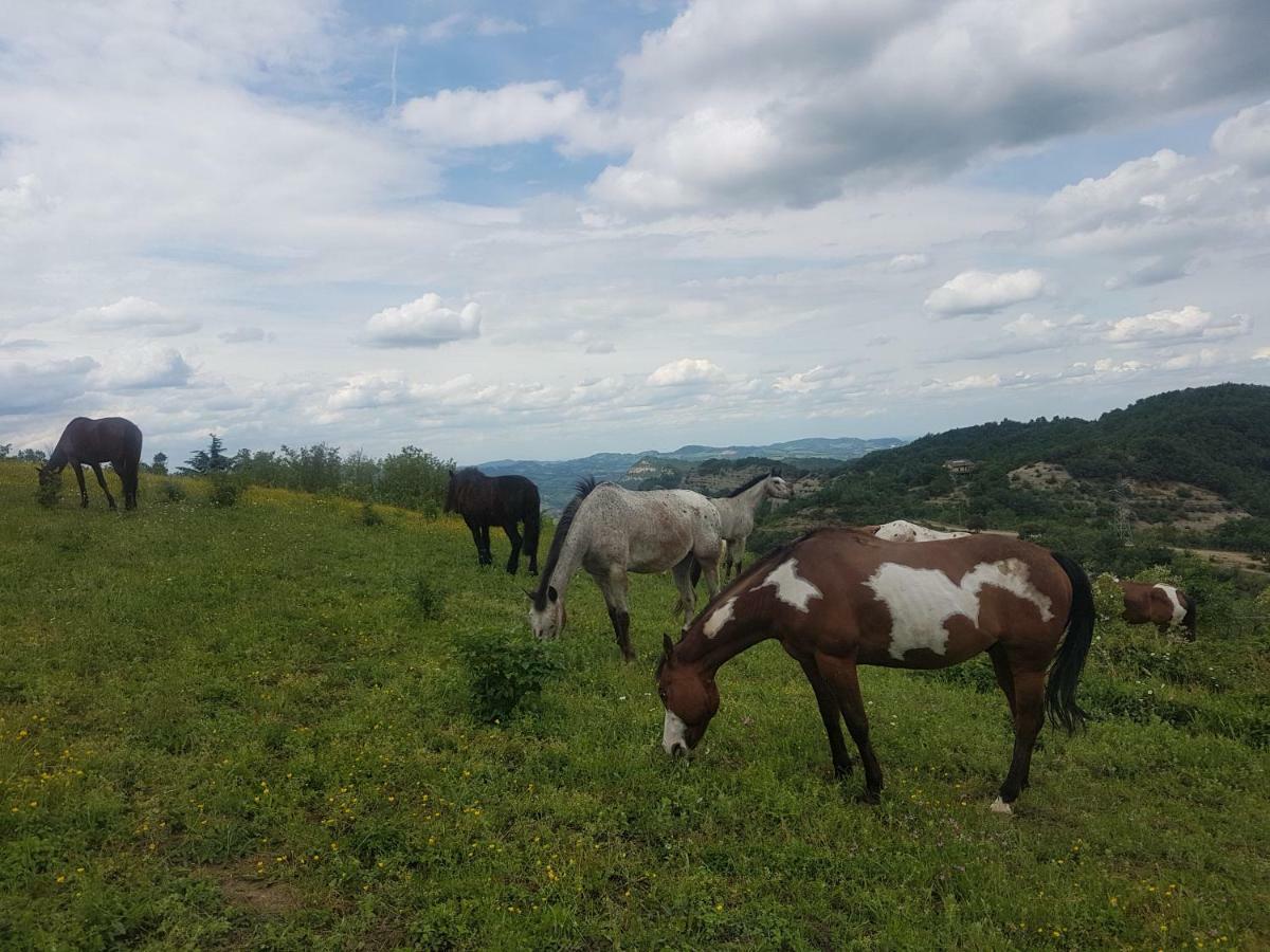 Вилла Agriturismo Piccola Raieda Сассо-Маркони Экстерьер фото