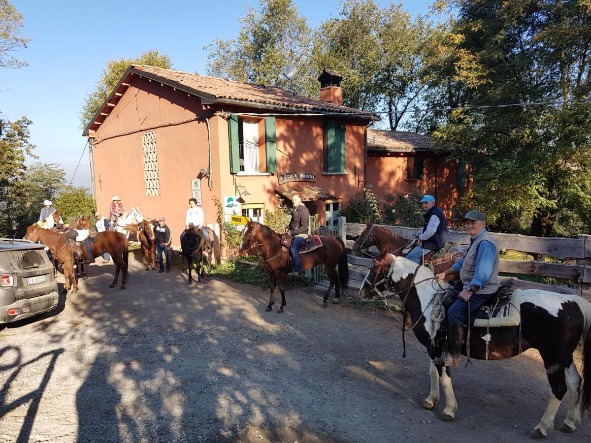 Вилла Agriturismo Piccola Raieda Сассо-Маркони Экстерьер фото