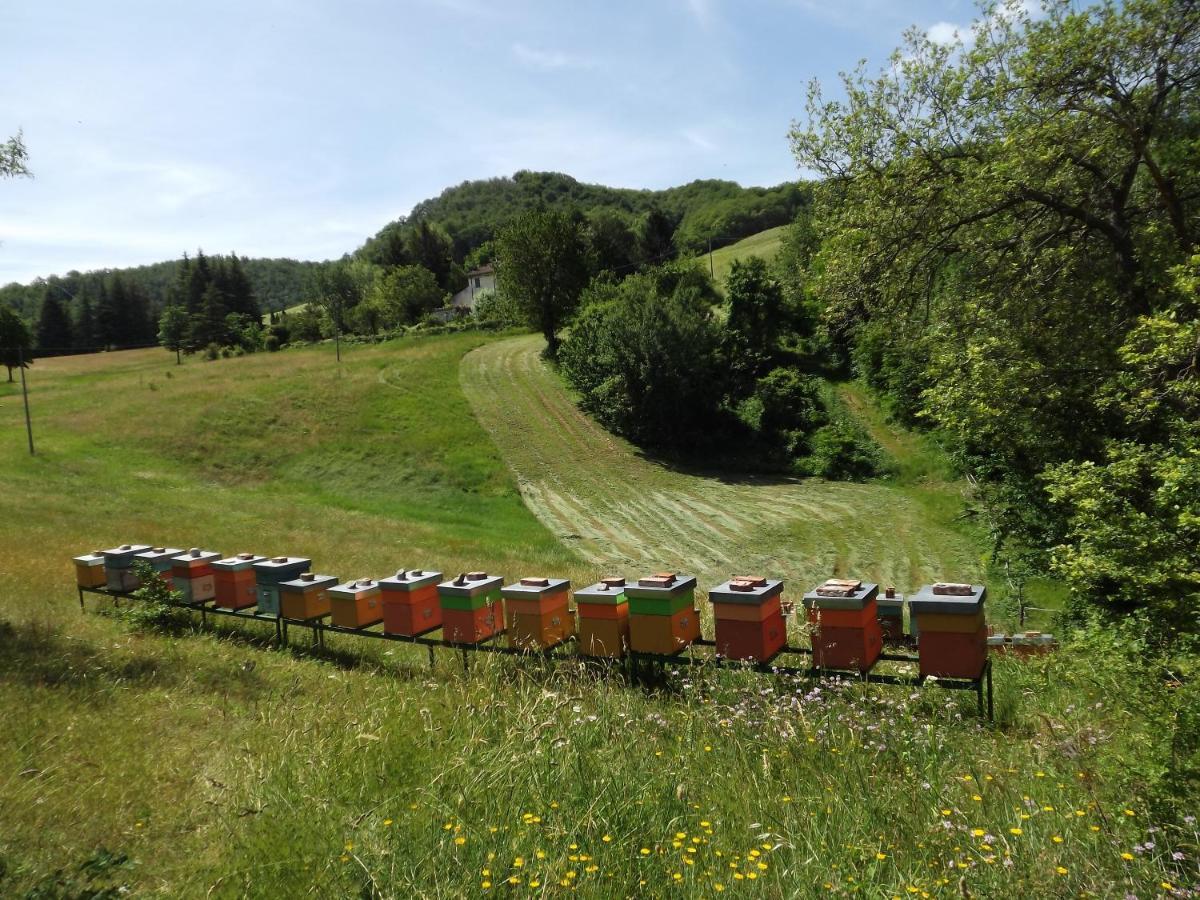 Вилла Agriturismo Piccola Raieda Сассо-Маркони Экстерьер фото